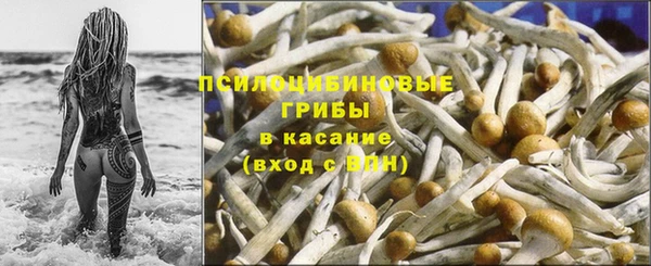 дмт Алзамай