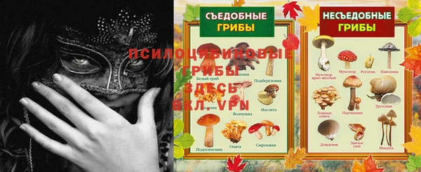 дживик Абинск