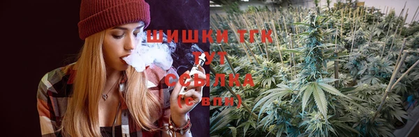 дживик Абинск