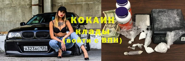 дживик Абинск