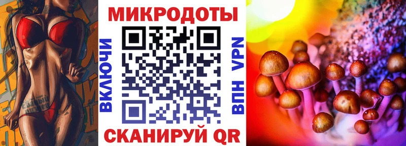 Псилоцибиновые грибы прущие грибы  Шадринск 